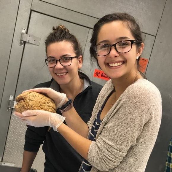 Meet your Posher, Rachel - Picture 1 of 1